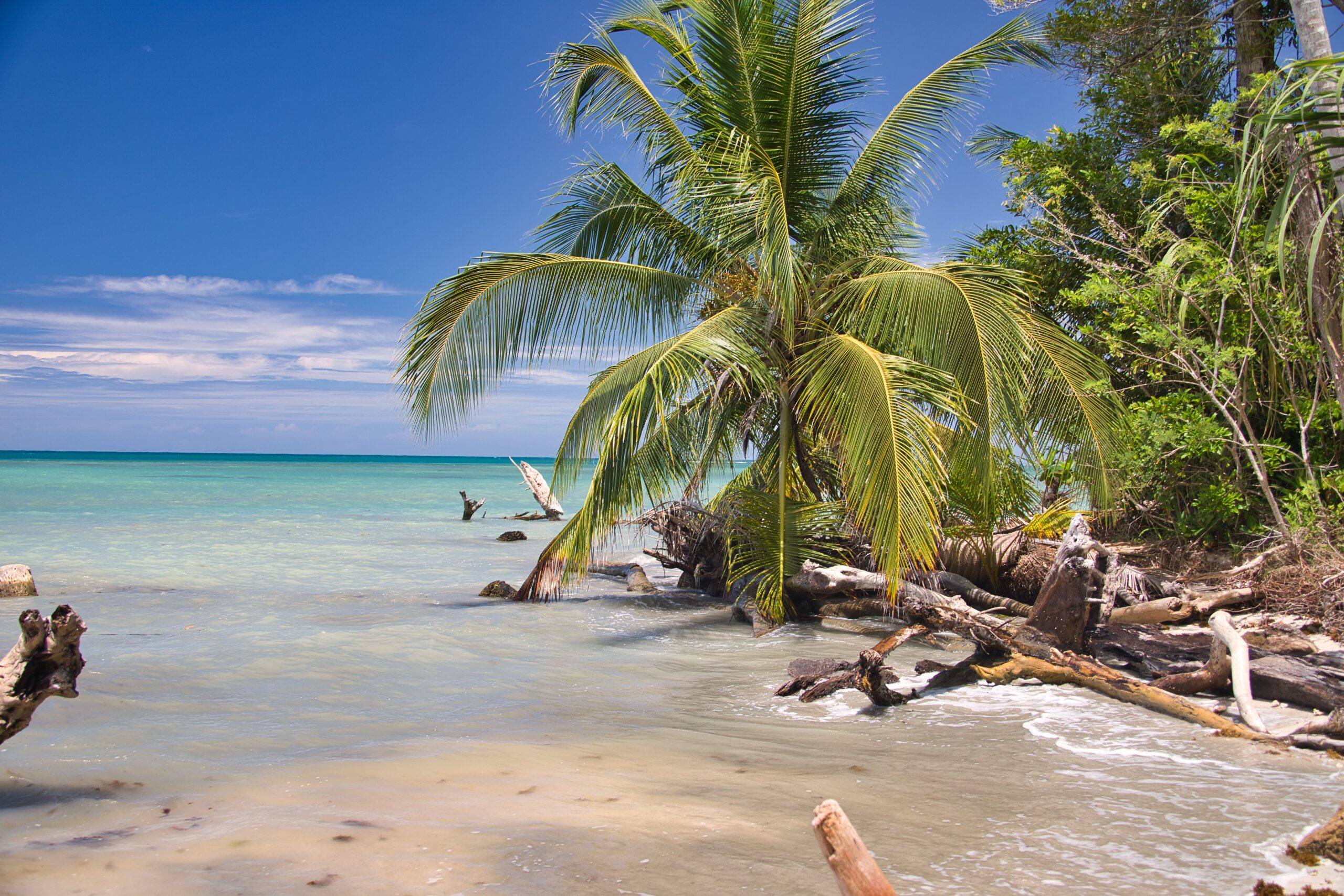 Dual Citizenship vs. Retirement Visas: The Two Paths to Living Abroad